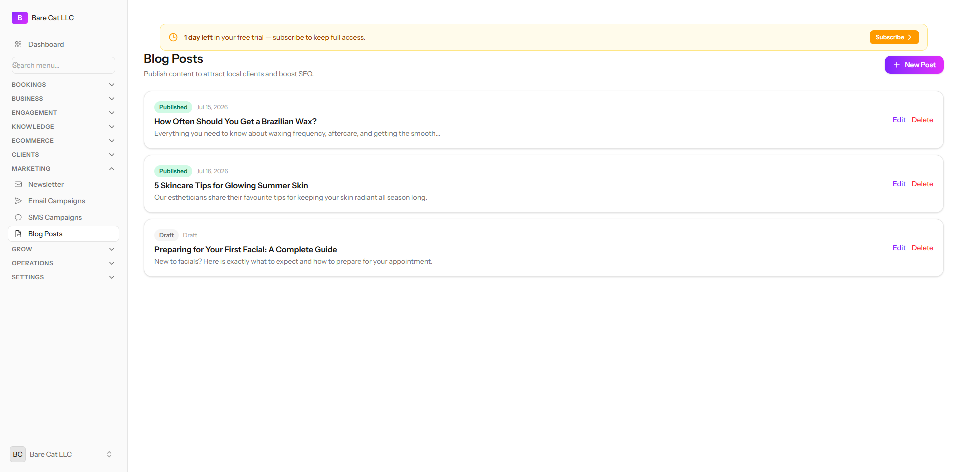 The blog posts screen listing published and draft articles