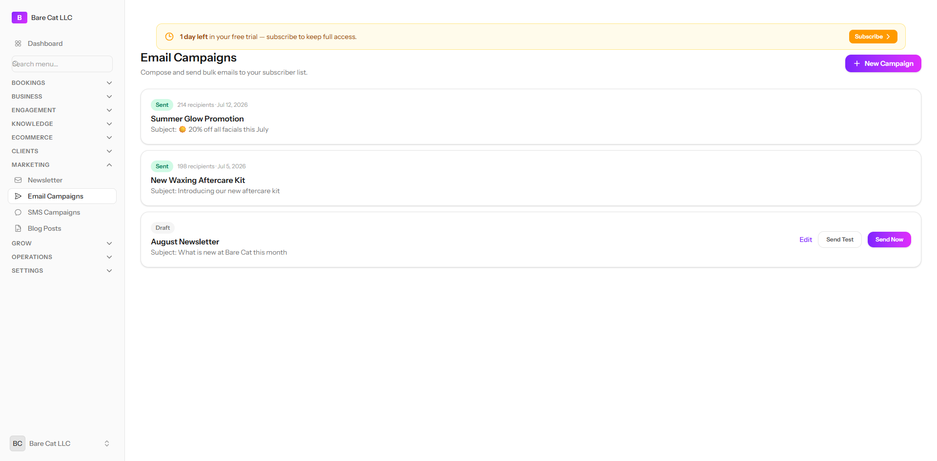 The email campaigns screen showing sent and draft campaigns with recipient counts