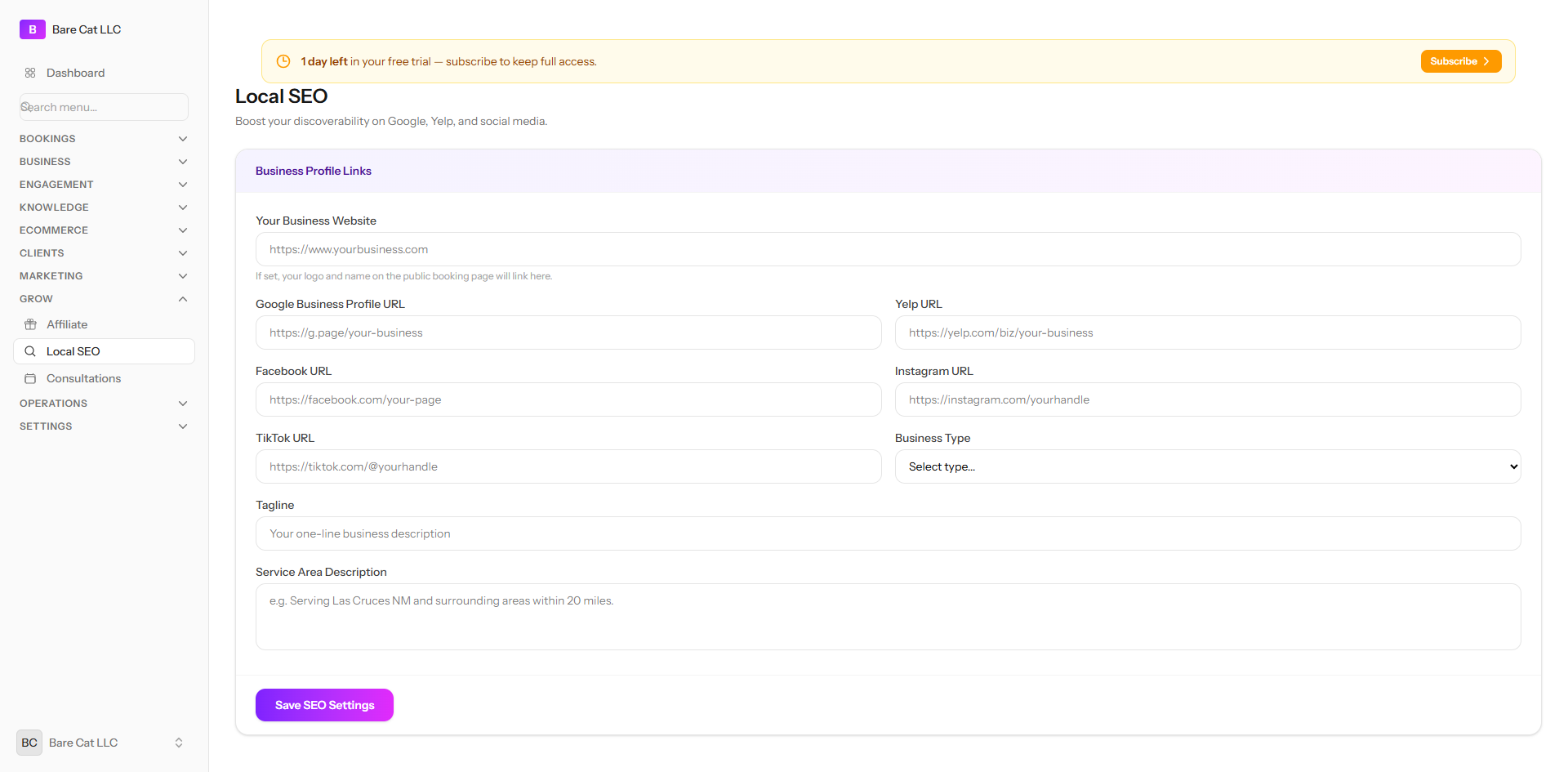 The Local SEO settings screen with business profile links and service area fields