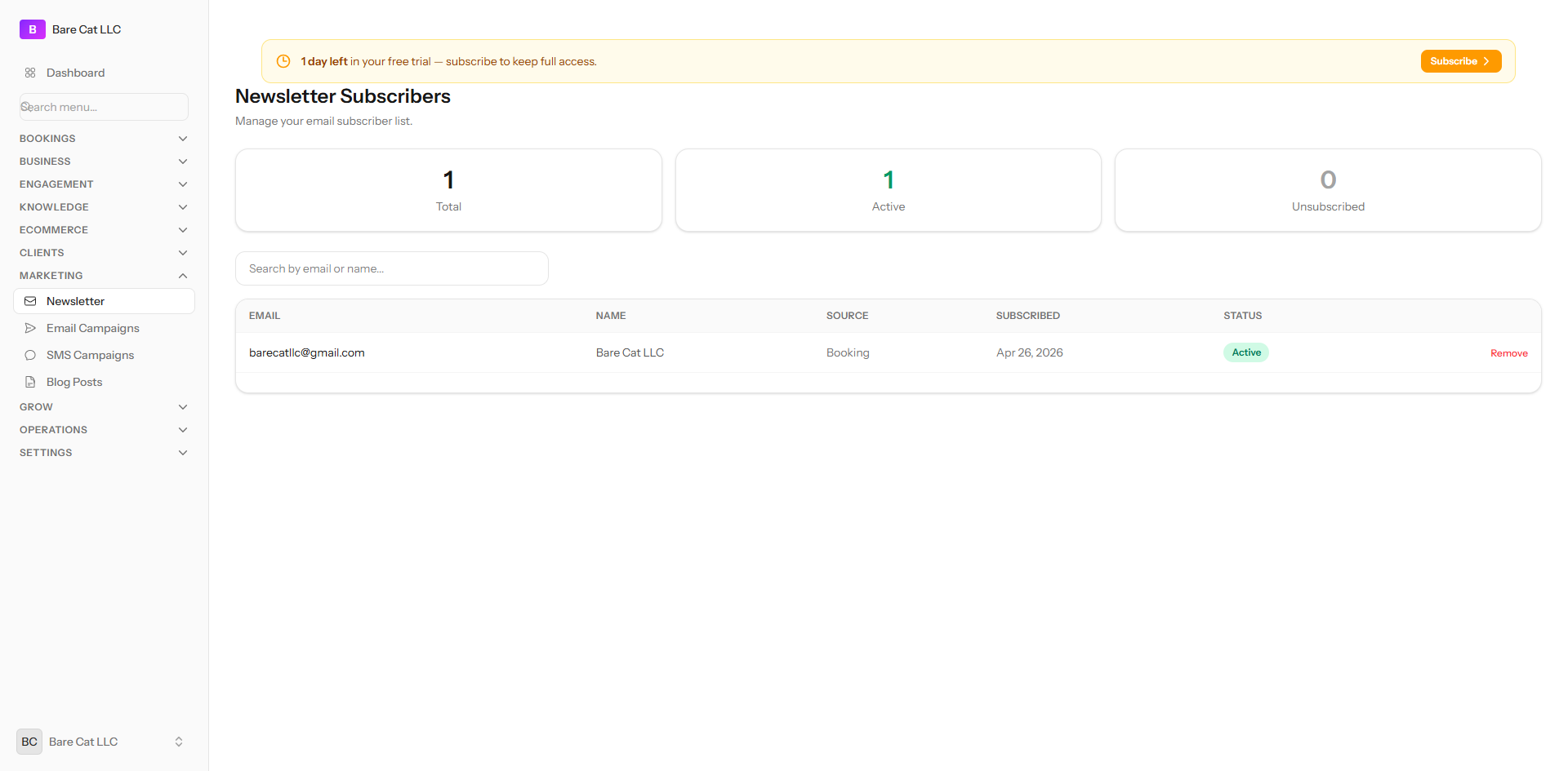 The newsletter subscribers screen showing subscriber counts and the list